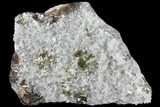 Gleaming Cubic Pyrite Cluster with Quartz - Peru #98058-3